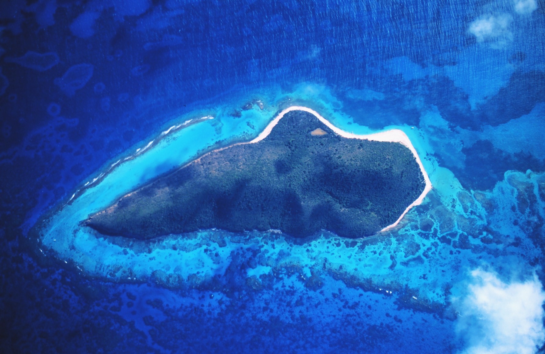 Buck Island Reef, St. Croix, Cruise Destination and shore excursion