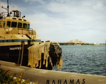 nassau bahamas port call